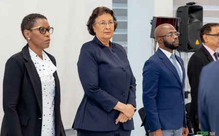 Simons: “Suriname moet malariavrije status blijven beschermen”