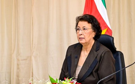 Breaking:  President Simons: voorlopig geen nieuwe concessies, verlengingen of overschrijving