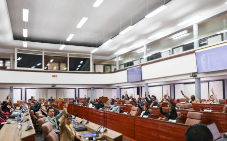 DNA stemt unaniem voor wettelijke bescherming van dienstmerken in Suriname