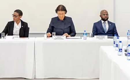 Simons: Malariavrij Suriname moet alert blijven op grenzen en goudvelden