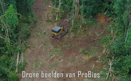 Mennonieten officieel aangezegd illegale vestigingen in binnenland op te breken