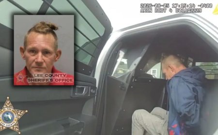 Opmerkelijk – Vader in Florida opgepakt na verbranden van kittens met een föhn voor de ogen v