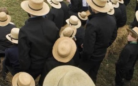 Braganza bereidt claim van US$ 86 miljoen voor na uitspraken Simons over mennonieten