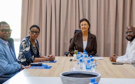 PAHO wil malaria-eliminatie in Guyanaschild versnellen na succes Suriname