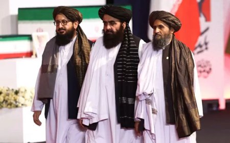 Vijf jaar verder: Hoe gaat de Taliban om met gewapend verzet?