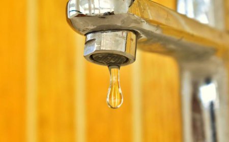 Droogstand in de hitte: Wanneer wordt schoon water weer een mensenrecht?