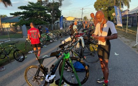 Dolfijn viert jubileum met triathlon