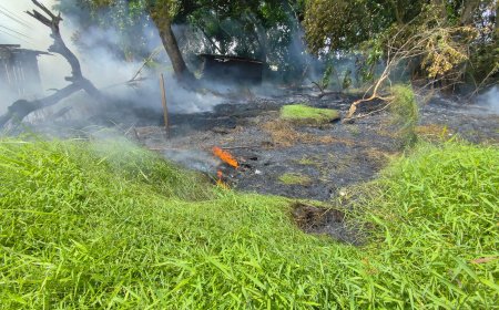 Grasbrand zorgt voor zware rookontwikkeling aan Gieselaan