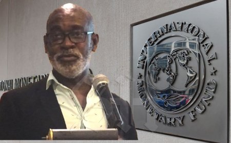 Eckhorst: ontwikkelingsagenda Suriname moet wettelijk worden verankerd