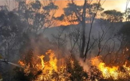 Brandweer verhoogt paraatheid voor extreme droogte