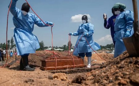 WHO: Ebola-uitbraak in DR Congo ‘wereldwijde noodsituatie’