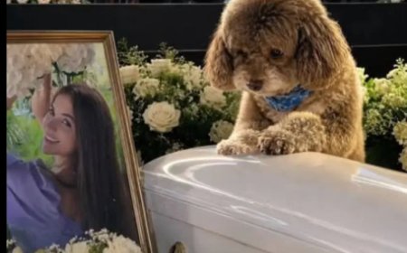Opmerkelijk – Vrouw sterft terwijl ze blinde hond beschermt tijdens aardbeving in Colombia