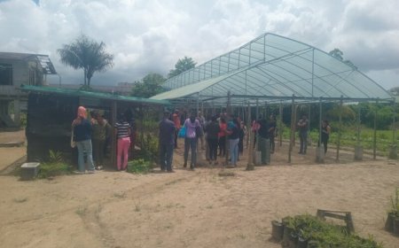 FAO en ministerie van LVV stimuleren duurzame kassenteelt in Suriname