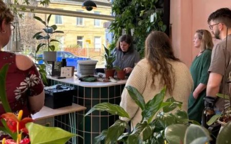 Plantenziekenhuis zet kamerplanten aan het ‘infuus’