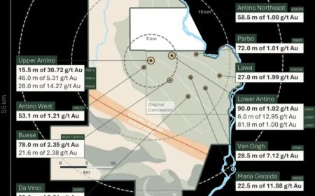 Gold Fields vergroot belang in Founders Metals tot bijna 20 procent