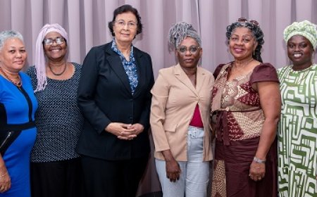 Bundeling van 22 Afro-Surinaamse organisaties informeert president over plannen