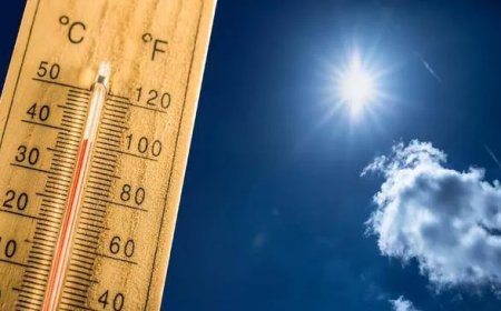 Warm en vochtig weer met kans op buien