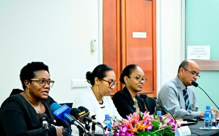 Financiën wil maandelijkse steun aan SLM omzetten in lening
