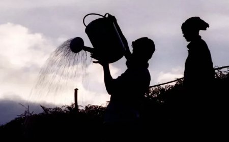 Wereldwijd bereiden overheden zich voor op historische El Niño