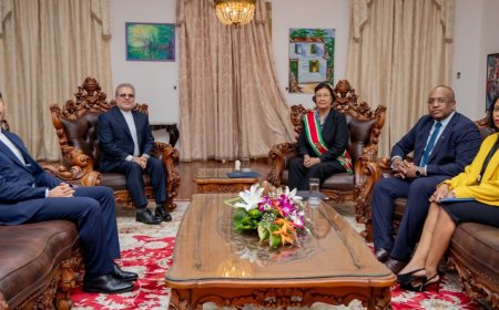 Zeven ambassadeurs bieden geloofsbrieven aan; Suriname mikt op strategische partnerschappen