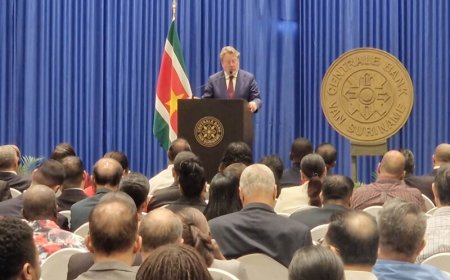 President Nederlandsche Bank oogst lof na lezing over centrale banken