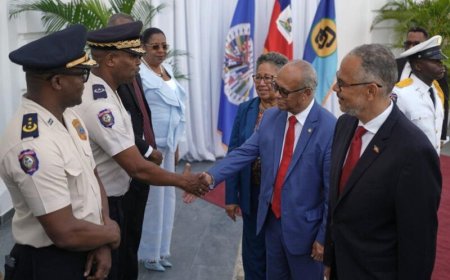 OAS dringt aan op snellere aanpak veiligheid en verkiezingen in Haïti