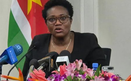USD 3,1 miljoen van totaal USD 85 miljoen uitbetaald voor projecten