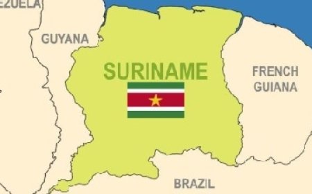 Grootschalige houtkap vanuit Guyana in Tigri-gebied baart regering zorgen