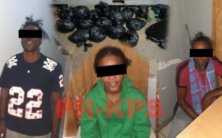 Drie verdachten te Burnside aangehouden met vermoedelijk marihuana in auto