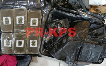 Politieagent met marihuana aangehouden bij controlepost Burnside