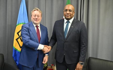 DNB wil samenwerking met Suriname verdiepen op financiële stabiliteit en cyberveiligheid