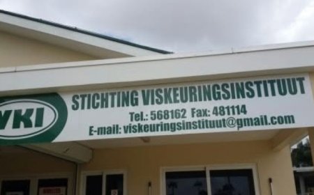 Financieel onderzoek legt ernstige tekortkomingen bij VKI bloot