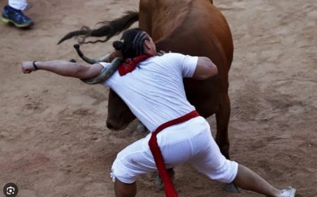 Beelden -Man gewond door stier in Spanje