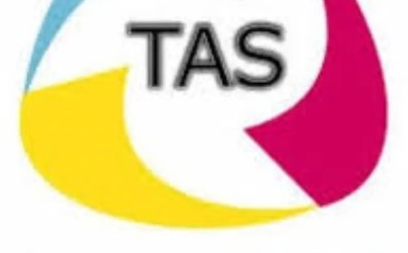 Raad van Ministers keurt schorsing TAS-directeur niet goed