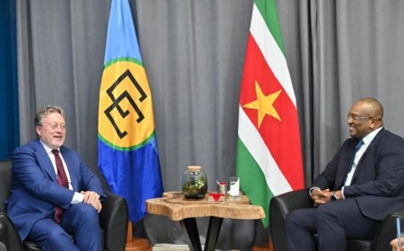 Suriname en DNB bespreken versterking financiële sector