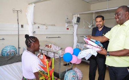 Vader drieling wil kinderen in Paramaribo laten opgroeien; verzoek naar Sozavo