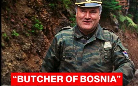 Staatseerbetoon voor Mladić veroorzaakt internationale ophef