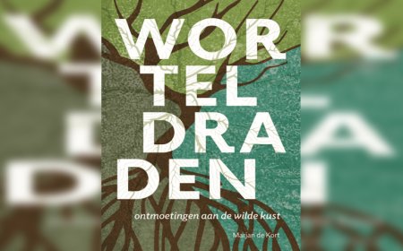 Een oprecht verhaal dat niet echt overtuigt