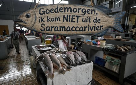 Op de vis staat geen adres