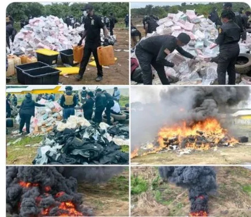 Liberia vernietigt 4,2 ton cocaïne na grootste drugsvangst ooit