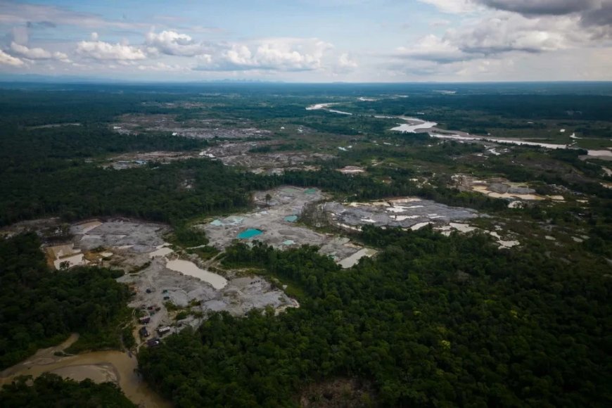 Grote internationale operatie tegen milieumisdrijven in Amazoneregio