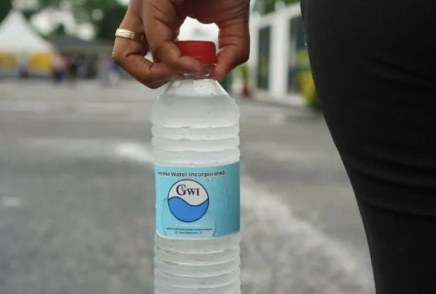 Private sector vreest oneerlijke concurrentie door staatswaterfabriek in Guyana