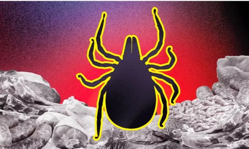Tekenbeet zorgt voor vleesallergie en verandert eetgewoonten