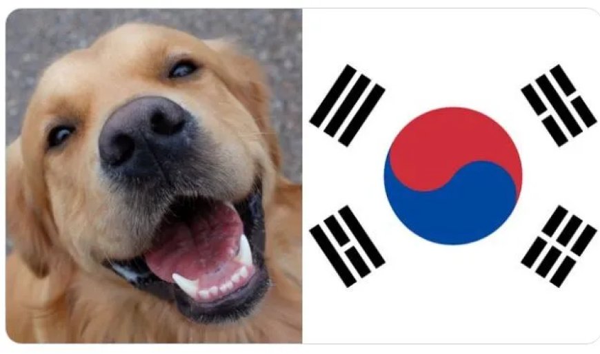 Zuid Korea stopt volledig met hondenvlees
