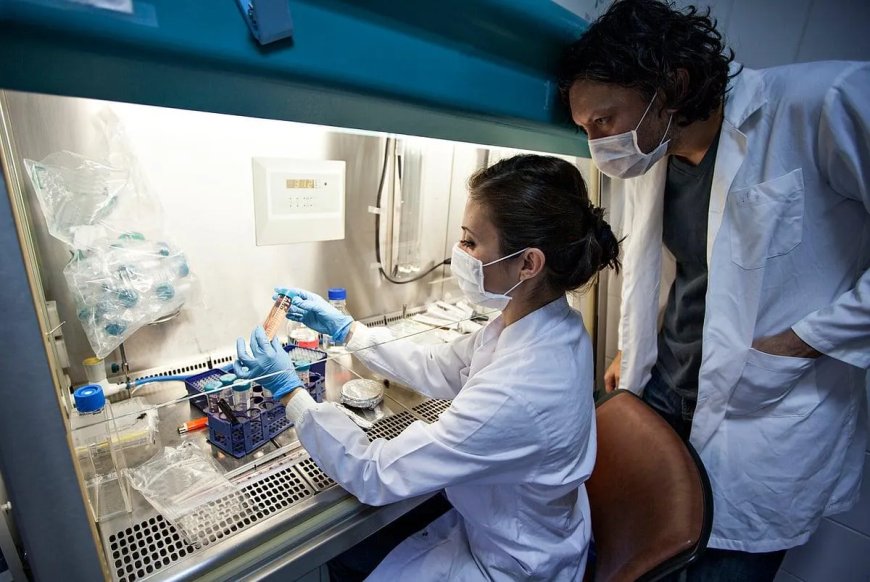 Drievoudige therapie wist hiv bij pasgeboren aapjes