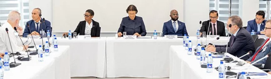 Simons: Malariavrij Suriname moet alert blijven op grenzen en goudvelden