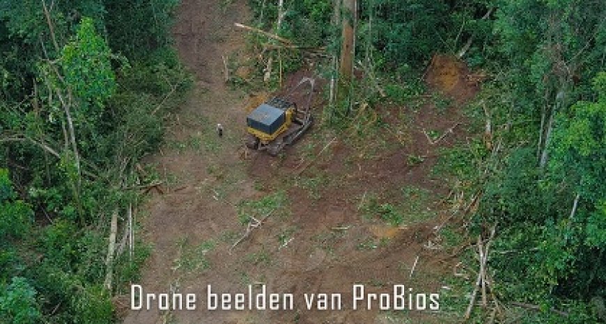 Mennonieten officieel aangezegd illegale vestigingen in binnenland op te breken