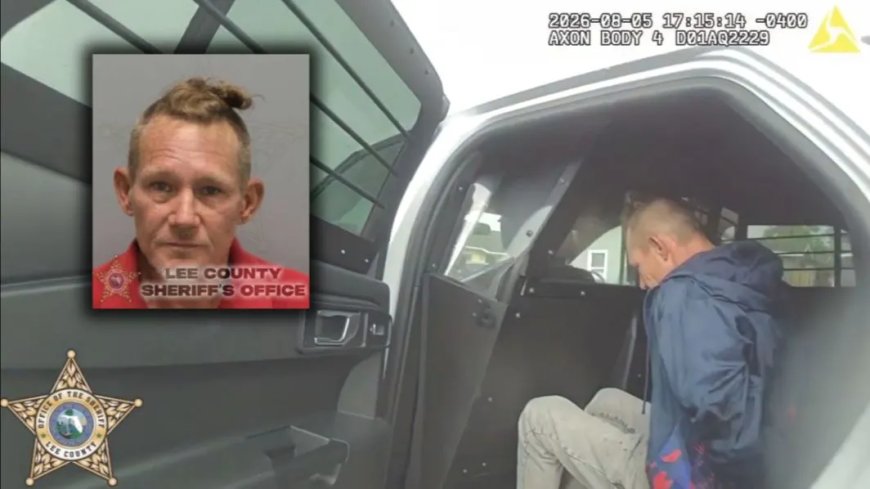 Opmerkelijk – Vader in Florida opgepakt na verbranden van kittens met een föhn voor de ogen v