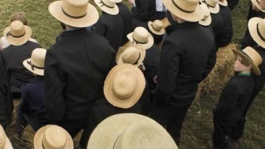 Braganza bereidt claim van US$ 86 miljoen voor na uitspraken Simons over mennonieten