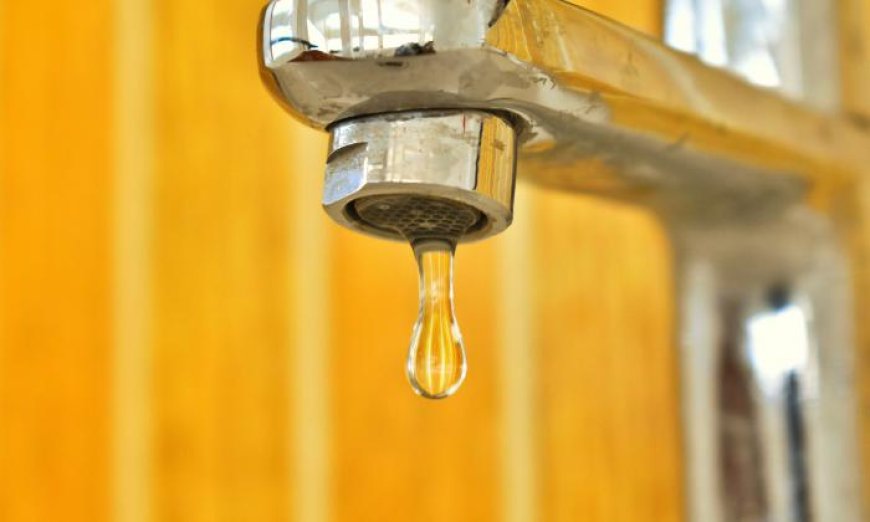 Droogstand in de hitte: Wanneer wordt schoon water weer een mensenrecht?